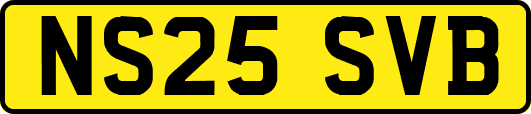 NS25SVB