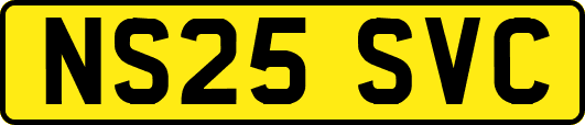NS25SVC