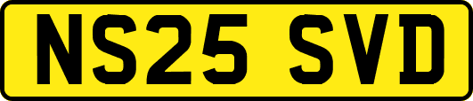 NS25SVD