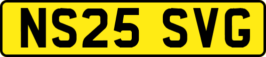 NS25SVG