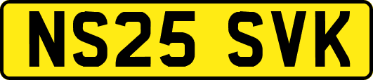NS25SVK