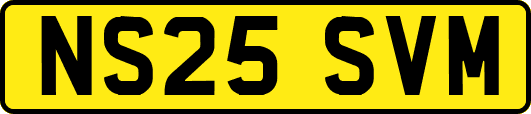 NS25SVM