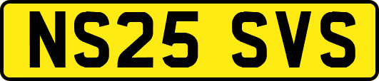 NS25SVS