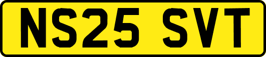 NS25SVT