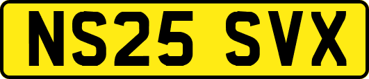NS25SVX