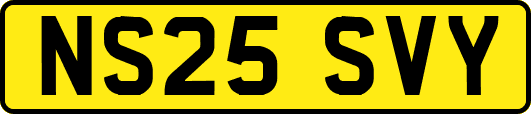 NS25SVY