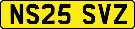 NS25SVZ