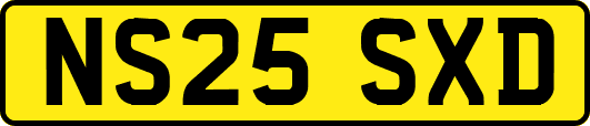 NS25SXD