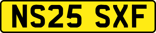 NS25SXF