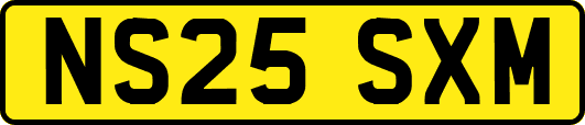 NS25SXM