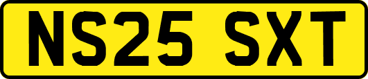 NS25SXT