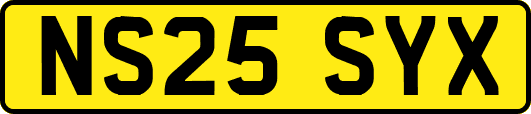 NS25SYX