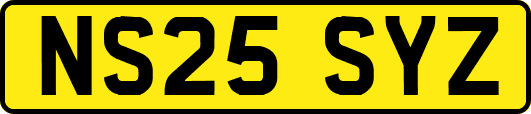 NS25SYZ