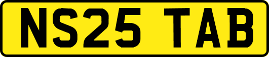 NS25TAB