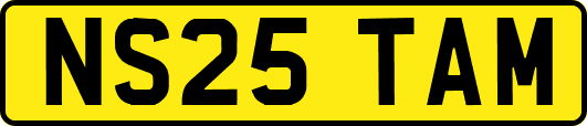 NS25TAM