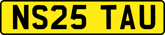 NS25TAU
