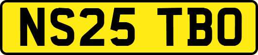 NS25TBO