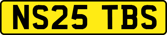 NS25TBS