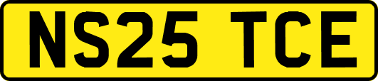 NS25TCE