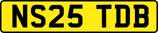 NS25TDB