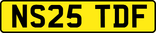 NS25TDF