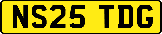 NS25TDG