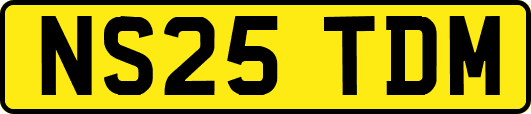 NS25TDM