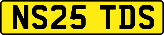 NS25TDS