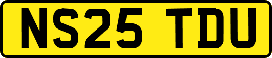 NS25TDU