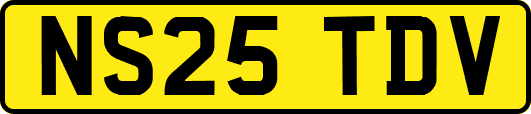 NS25TDV