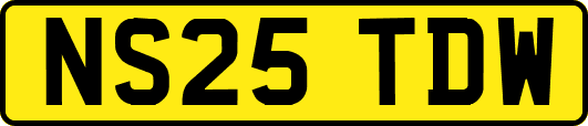 NS25TDW