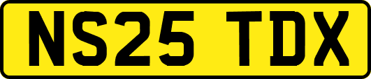 NS25TDX