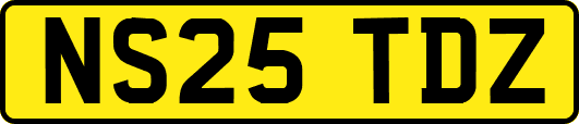 NS25TDZ