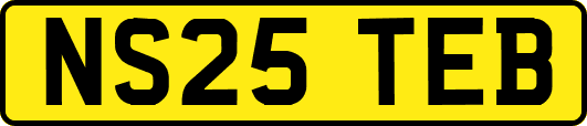 NS25TEB