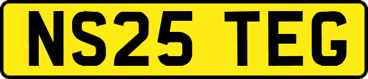 NS25TEG