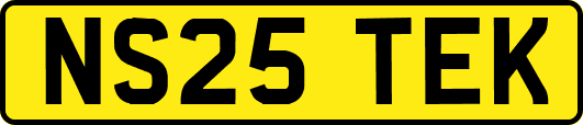 NS25TEK