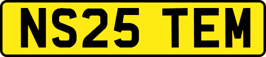 NS25TEM