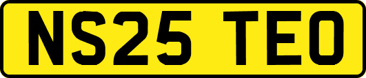 NS25TEO