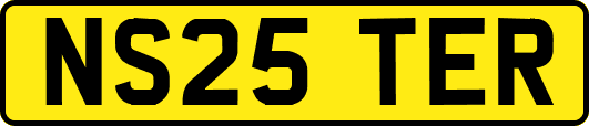 NS25TER