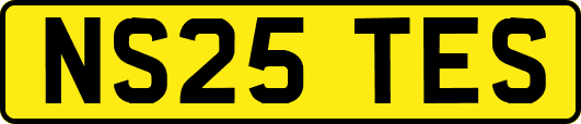 NS25TES