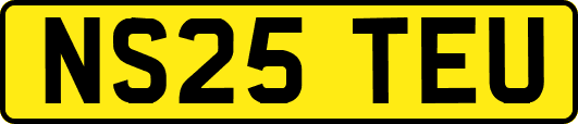 NS25TEU