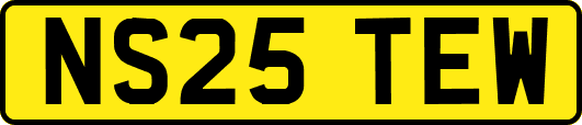 NS25TEW