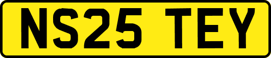 NS25TEY