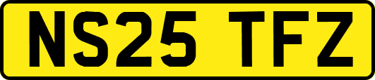 NS25TFZ