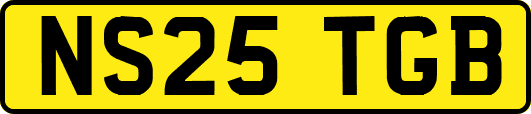 NS25TGB