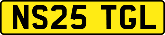 NS25TGL
