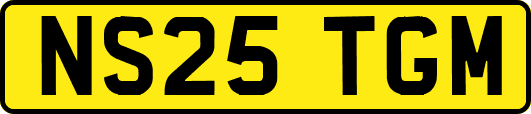 NS25TGM