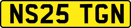 NS25TGN
