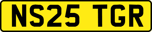 NS25TGR