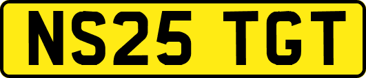 NS25TGT